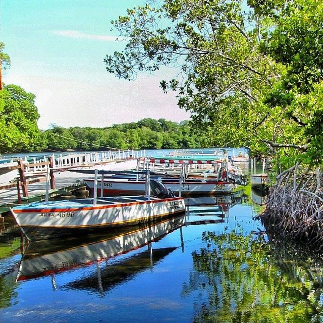 water, tree, boat, lake, nautical vessel, moored, reflection, tranquility, tranquil scene, transportation, waterfront, mode of transport, nature, beauty in nature, river, scenics, day, sky, pier, outdoors