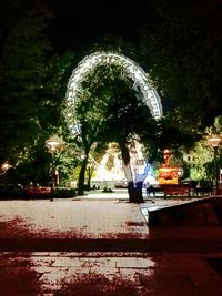 Illuminated trees at night