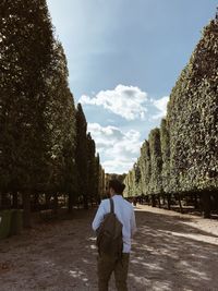 Rear view of man standing by trees against sky