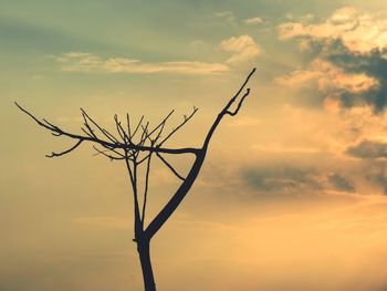 Low angle view of silhouette tree against sky