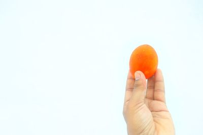 Close-up of hand holding orange against white background