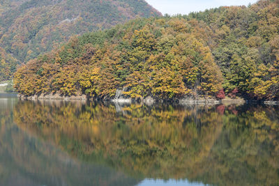 Scenic view of lake by forest against clear sky