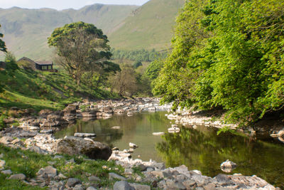 Scenic view of river by mountains