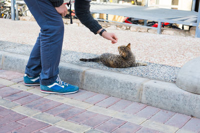 Low section of man with cat on street