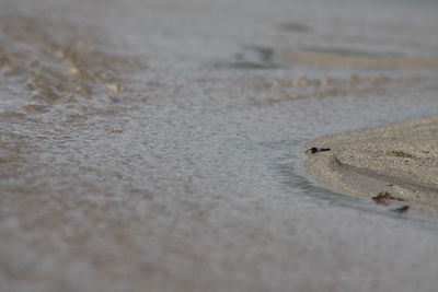 Surface level of wet sand on beach