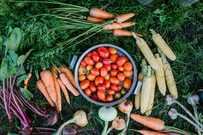 High angle view of vegetables on table