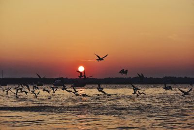 Sunset with seagulls over the baltic sea in poland