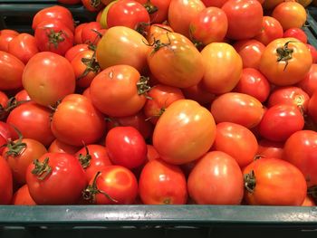 Close-up of tomatoes for sale