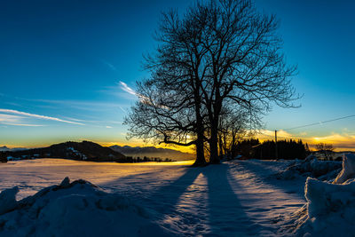 Bare trees on snow covered field against sky during sunset