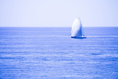 Sailboat sailing in sea against clear sky