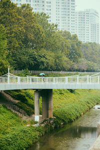 Bridge over river
