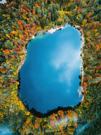 Scenic view of autumn trees against sky