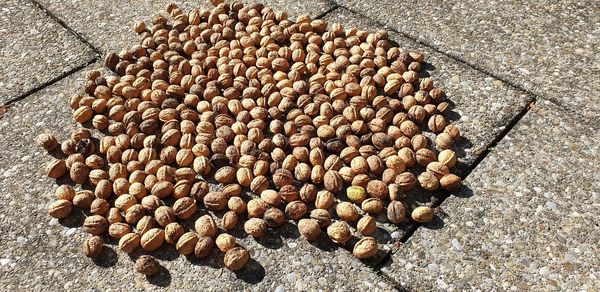 High angle view of dried fruits