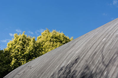 Low angle view of trees against blue sky