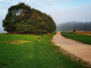 Scenic view of trees on field against sky