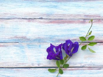 Close-up of purple rose on wooden table