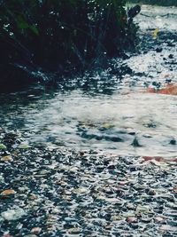 Scenic view of river flowing during winter