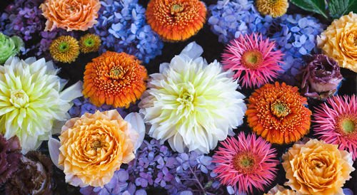 Colorful bunch of beautiful flower floating on water.