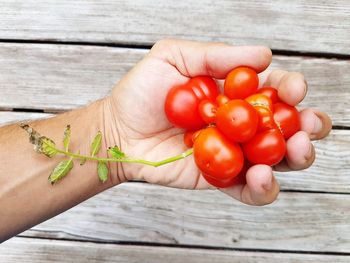Cropped hand holding cherry tomatoes