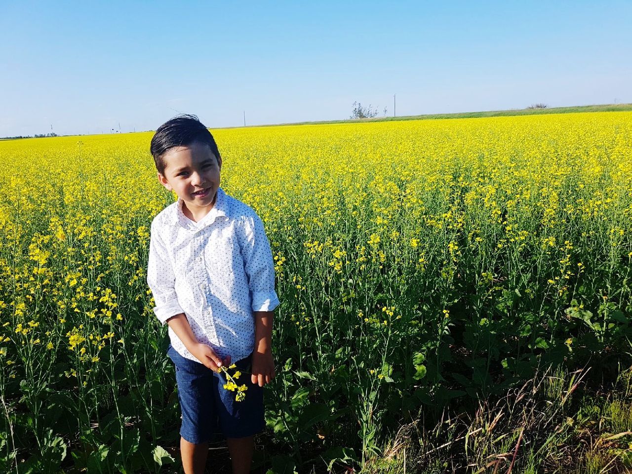 field, one person, yellow, land, plant, growth, beauty in nature, child, childhood, agriculture, flower, real people, standing, three quarter length, casual clothing, nature, oilseed rape, sky, landscape, farm, outdoors