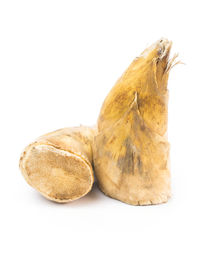 Close-up of bread against white background