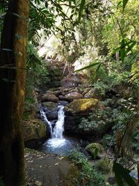 Scenic view of waterfall in forest against sky