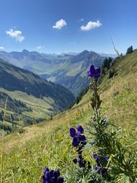 nature