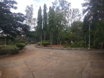 Footpath amidst trees in forest