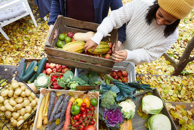 High angle view of smiling woman arranging pumpkin in basket at yard