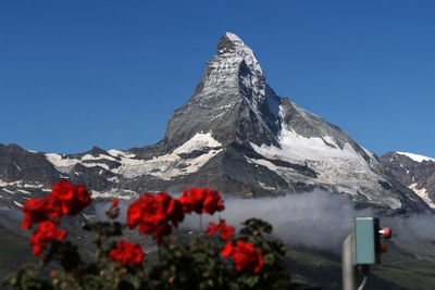 Scenic view of snow covered mountain against clear blue sky