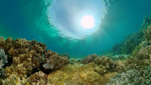 sea
