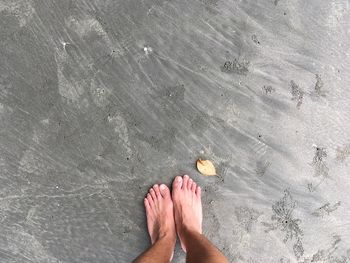 Low section of man standing at beach