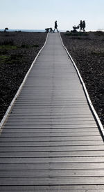 Surface level of boardwalk amidst plants against sky