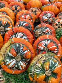 Full frame shot of pumpkins at market