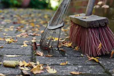 Close-up of gardening equipment with autumn leaves on footpath