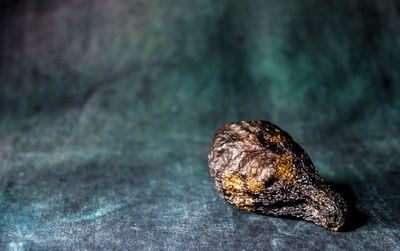 Close-up of roasted avocado