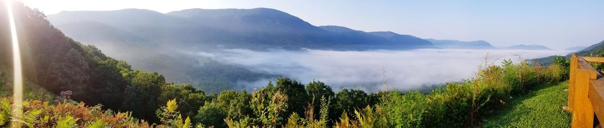 Panoramic view of trees and mountains against sky