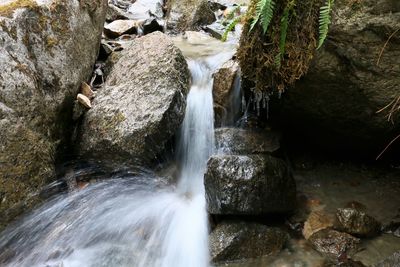 Scenic view of waterfall in forest