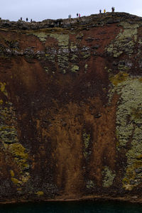 Trees on rock against sky