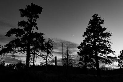 Low angle view of silhouette trees against sky during sunset