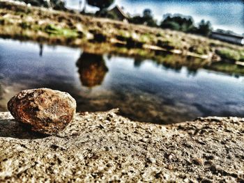 Close-up of rocks in sea