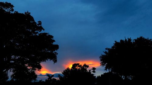 Low angle view of silhouette trees against sky at night