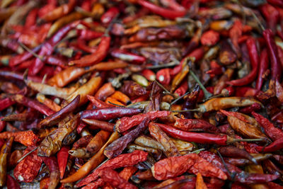 Dried red hot chili pepper