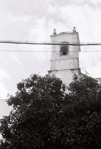 Low angle view of tree and building against sky