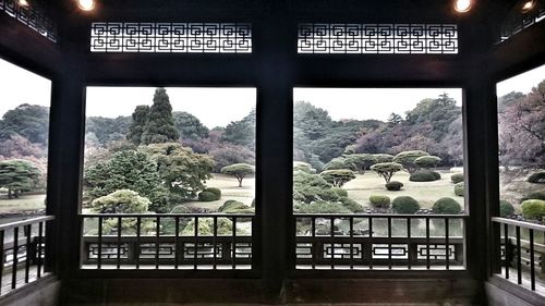 Trees on landscape seen through window