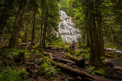 Scenic view of bridalveil fall in yosemite valley