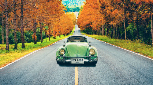 Car on road amidst trees during autumn