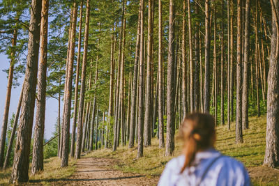 Panoramic shot of woman standing amidst trees in forest