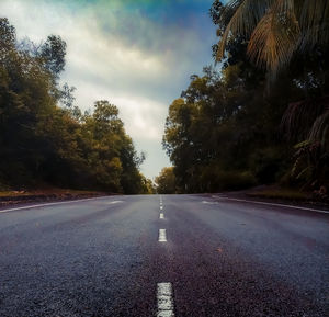 Surface level of road by trees against sky