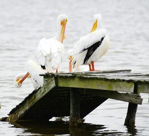 Boats in lake